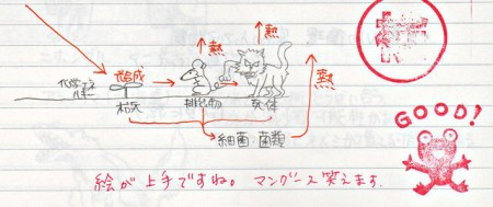 生物の先生に褒められました。褒められると、やる気（落書き）が出ますよね！（意外に褒めてくれる先生も多かったです）