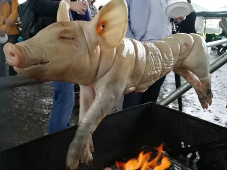 焼き始めの子豚